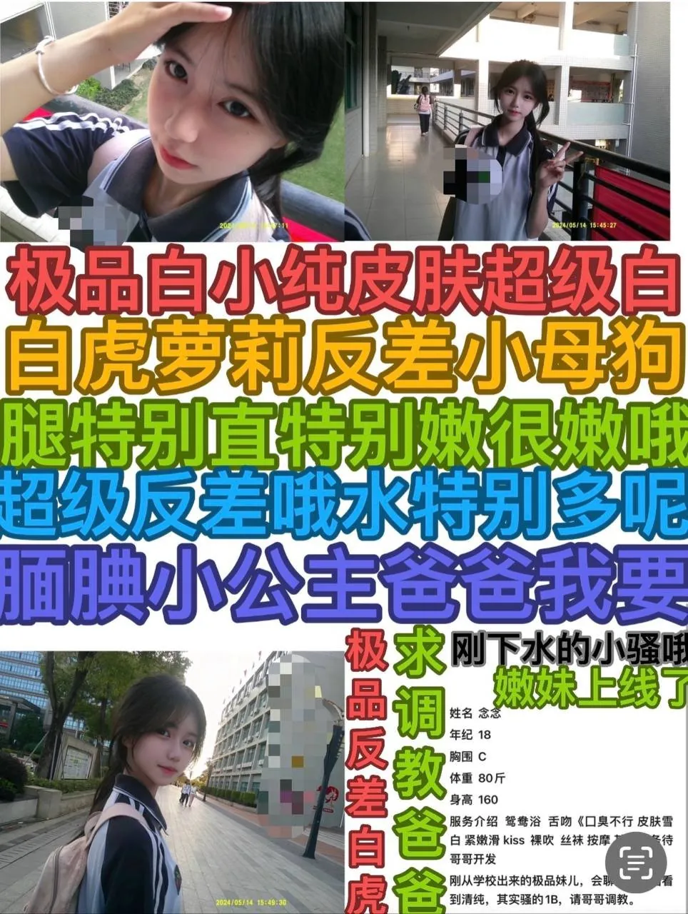 深圳龙华区同城资料页 47916